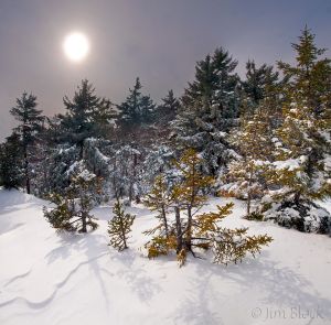 44  DD929--Sun-over-White-Ledges--Pan-(17).jpg